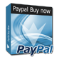 Paypal Buy Now